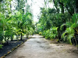 Saïadi Botanical Garden