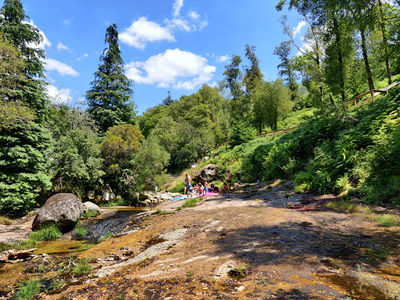 Lagoas da Travanca