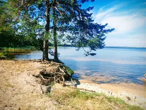 RMK Tänavjärve lõkkekoht