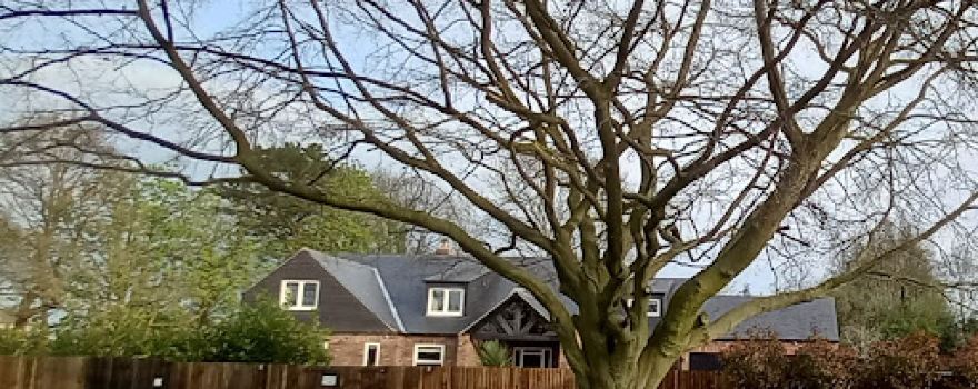 Grantchester Caravan and Camping