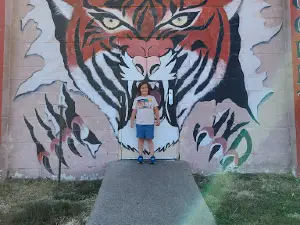 Effingham Ball Fields