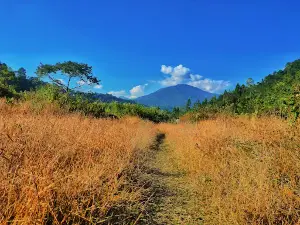Samsing Laliguras Picnic Spot