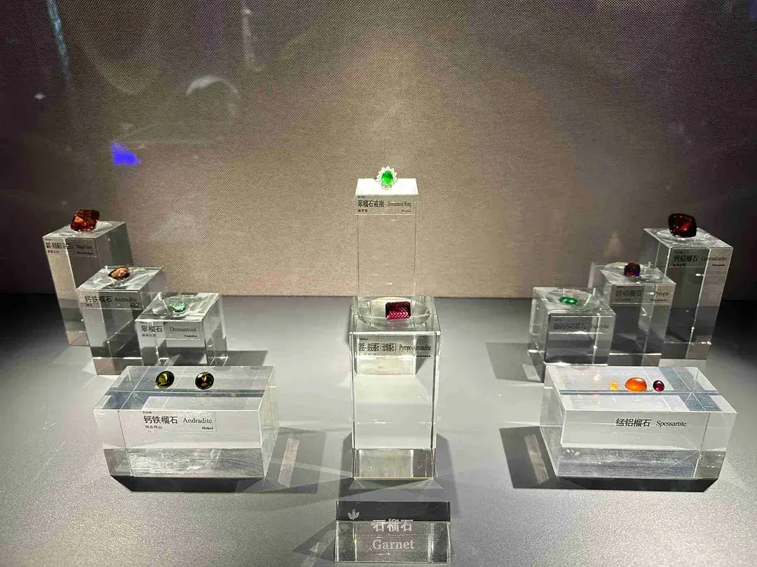 5_The Geological Museum of China