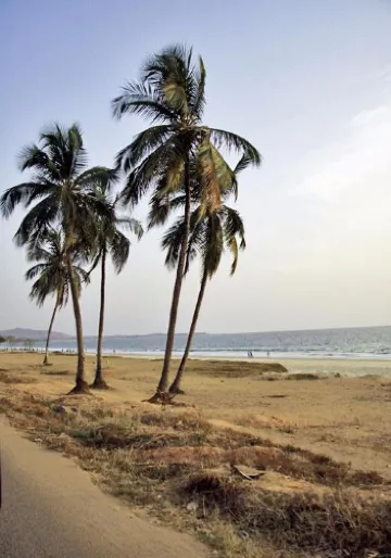 Ламли-Бич-роуд