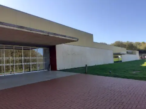 アルタミラ洞窟