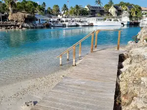 Curaçao Sea Aquarium