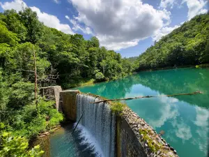 Ozark - St. Francis National Forest