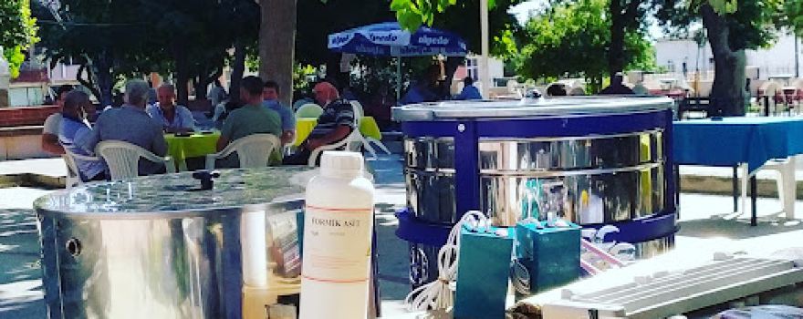 Belediye Parkı