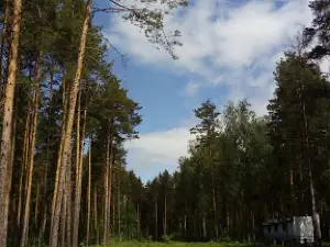 Lager' "Zhuravli"
