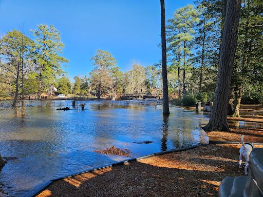 Salisbury City Park