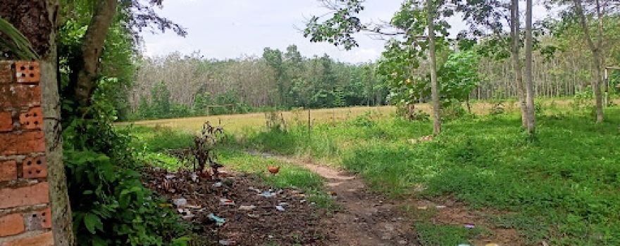 Lapangan Sepak Bola Margotani II