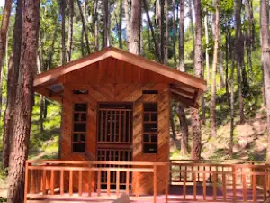 Wisata Hutan Pinus Cadika