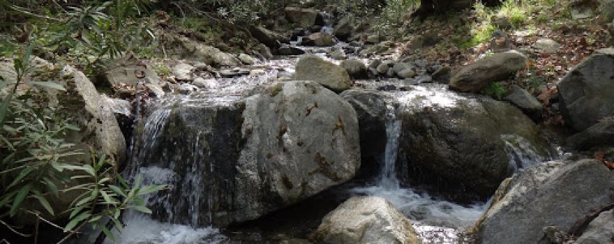 Çağlayan Tabiat parkı