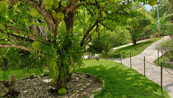 Urbain de Martissant - Habitation Leclerc National Park