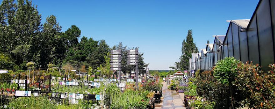 Chigwell Nursery