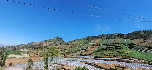 Swiss Van Java