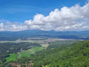 Lolai Tongkonan Lempe