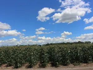 Stade’s Farm & Market