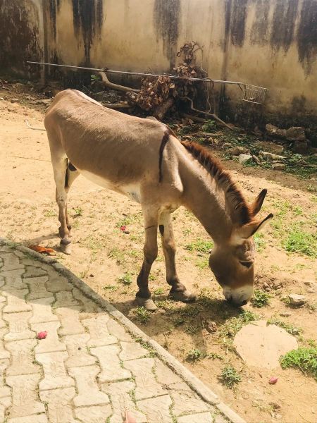 Port Harcourt to Ibadan Flights