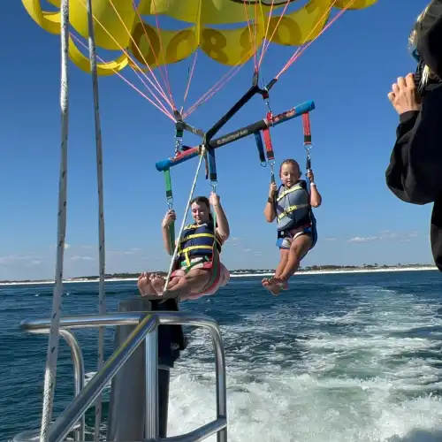 Pelican Adventures