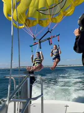 Pelican Adventures