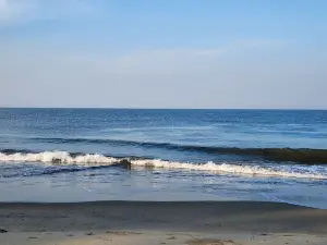 Tarkarli Beach