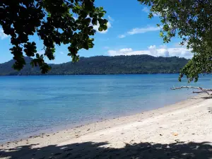 Natsepa Beach