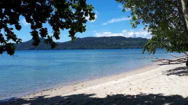 Natsepa Beach
