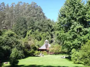 Jorge Alessandri Park