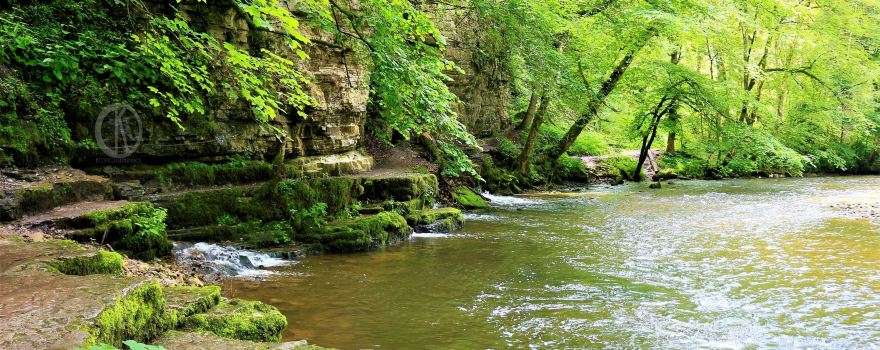 Wutach Gorge