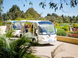 Royal Botanic Gardens Cranbourne