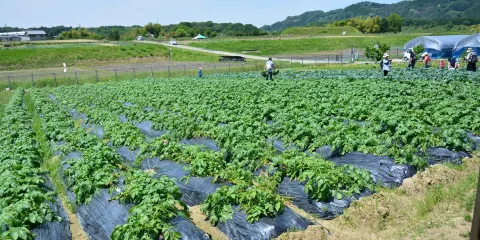 Tondabayashi Savor Farm