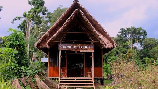 Chuncho Macaw Clay Lick