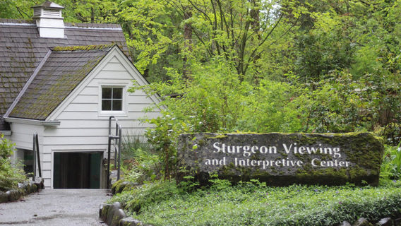 Sturgeon Viewing Pond and Interpretive Center