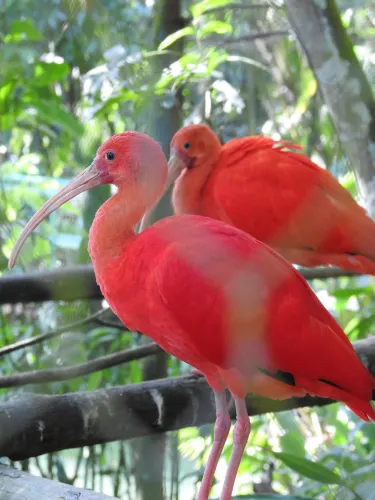 Couva-Tabaquite-Talparo