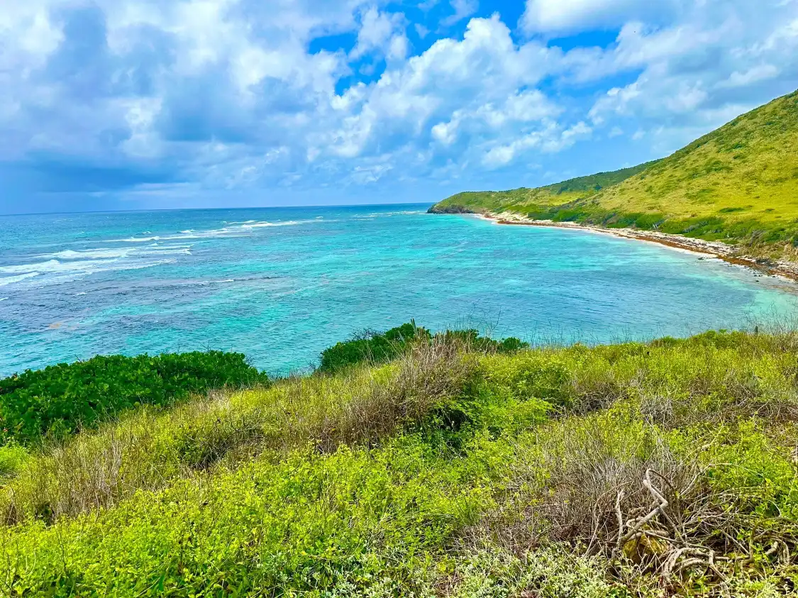 Hotels near Isaac Bay