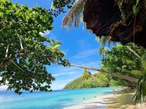 Harlem Beach