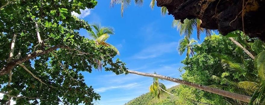West Sentani
