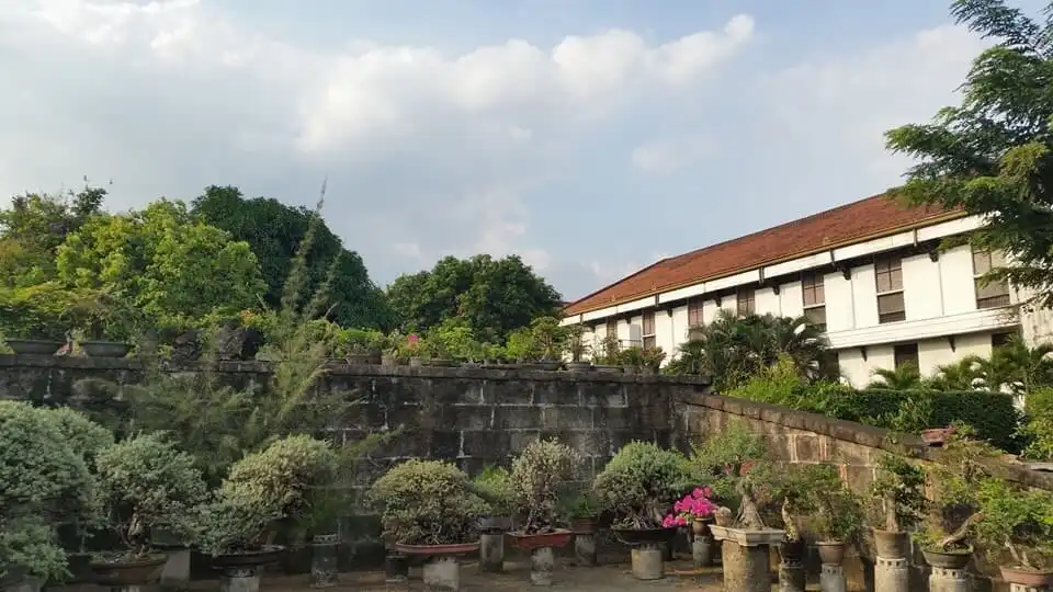 Hotels near Bonsai Library and Museum