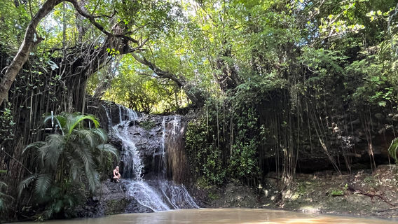 LaTille Falls & Garden