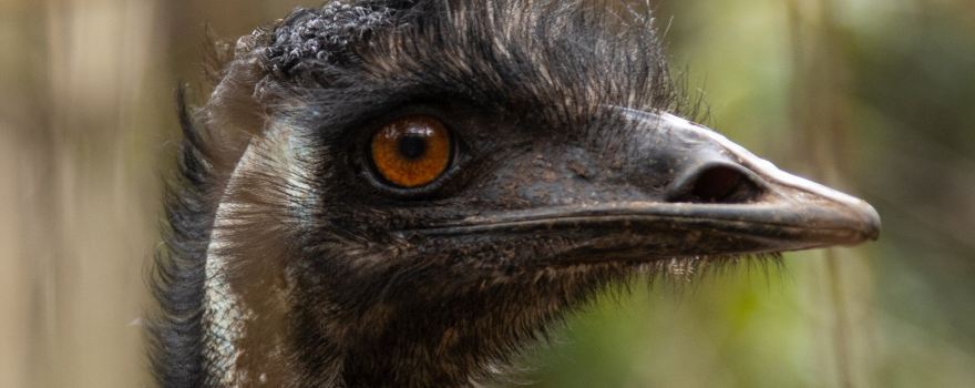 Cooberrie Park Wildlife Sanctuary