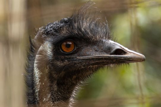 Cooberrie Park Wildlife Sanctuary