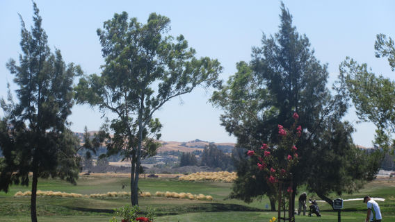 Livermore