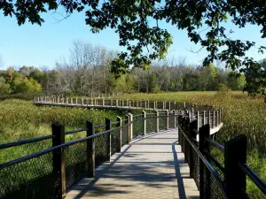 Galien River County Park
