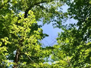 프리티 리버 밸리 주립공원
