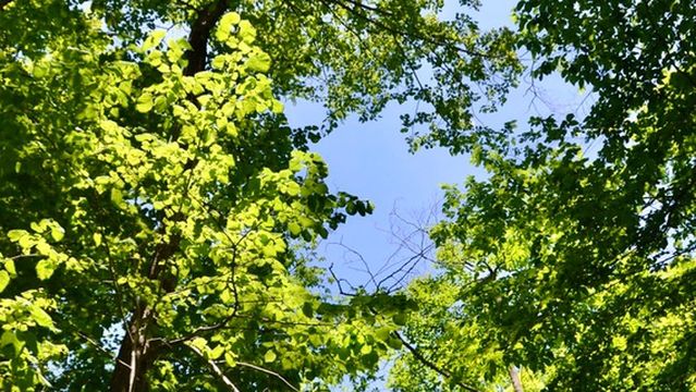Pretty River Valley Provincial Park