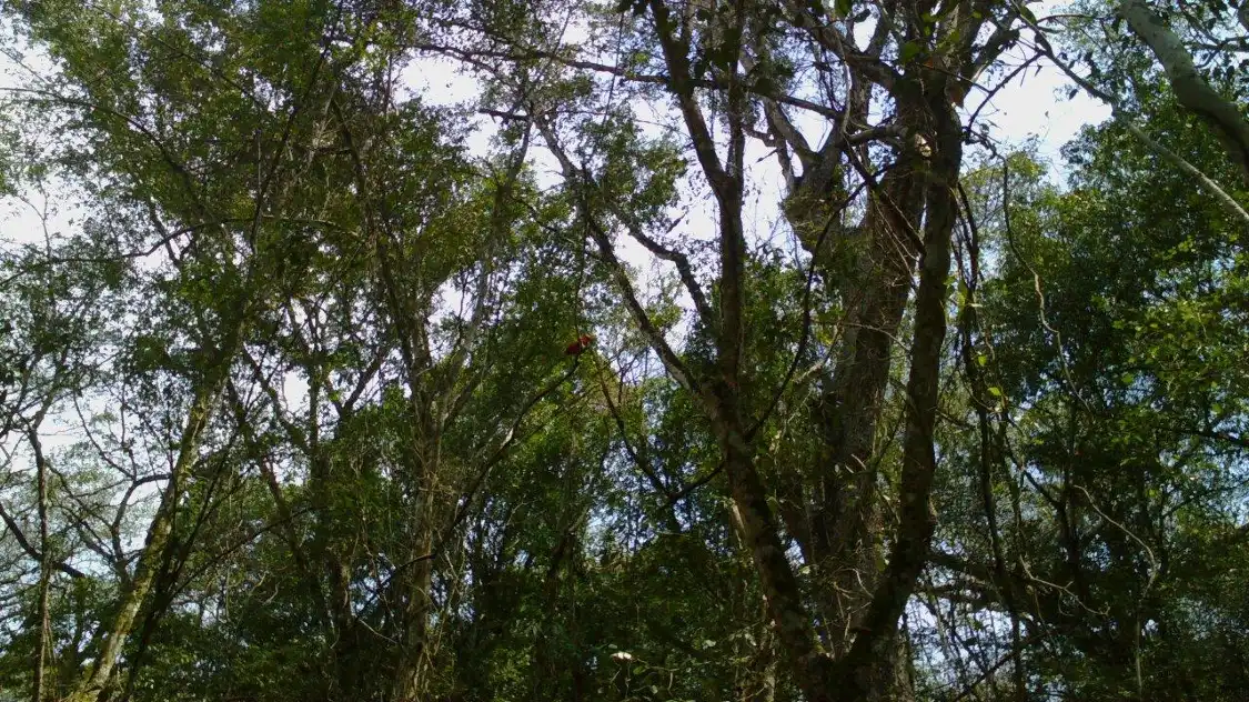 Hotels near Volcan de los Murcielagos