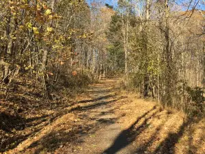 Falling Waters Preserve
