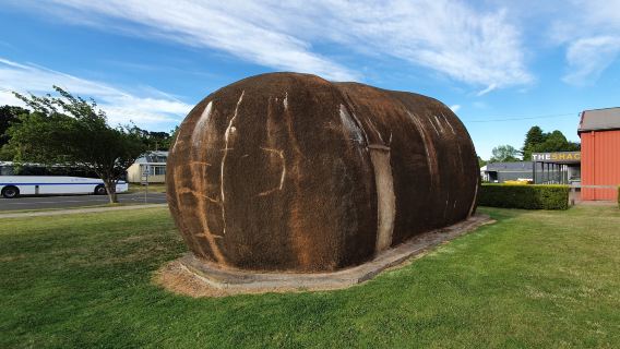 Pig (Big) Potato - Jim Mauger sculpture