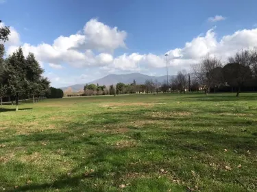 Campi Bisenzio